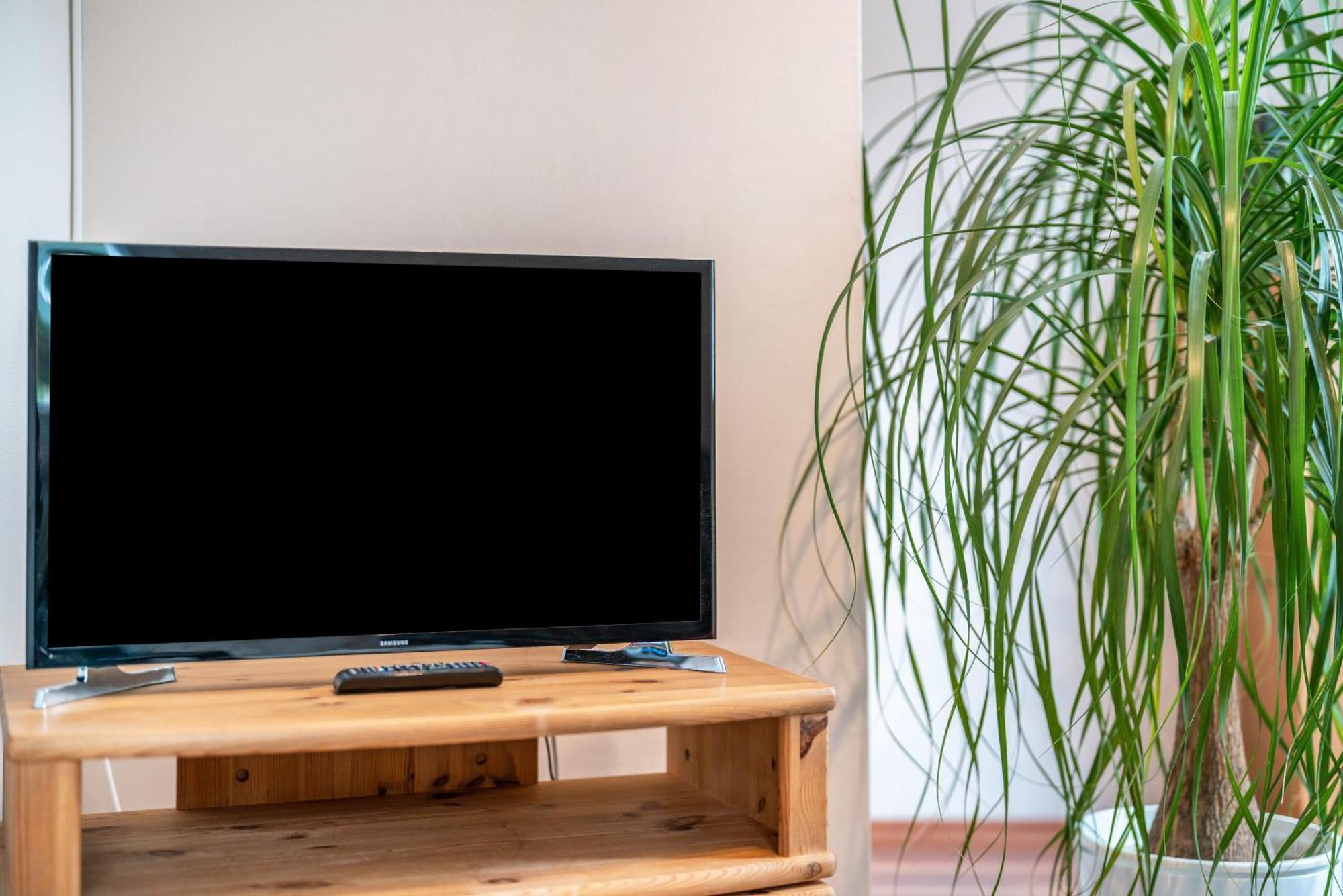 Ferienwohnung Burgblick Hausach Kültér fotó